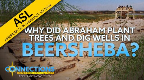 Why Did Abraham Plant Trees and Dig Wells in Beersheba? | BLP ...