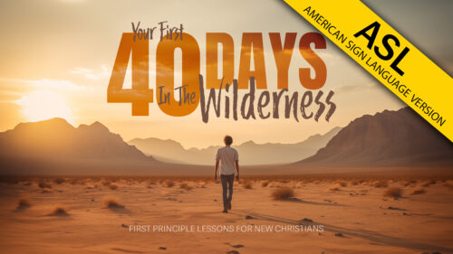 Your First Forty Days in the Wilderness